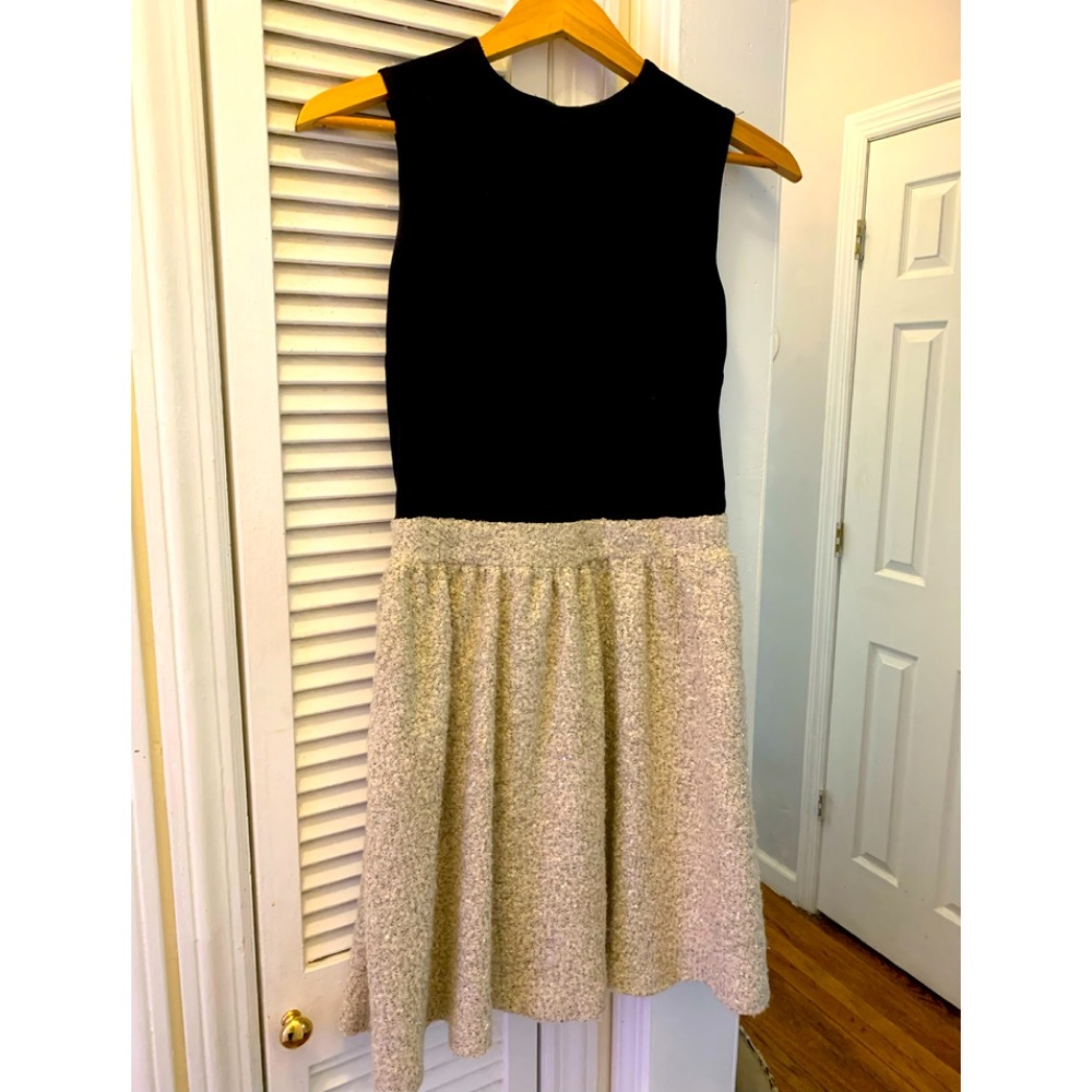Zara dress